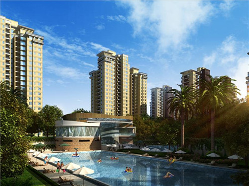 爱丁堡烘焙蛋糕