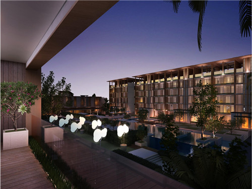 澳美徕澳门花胶鸡