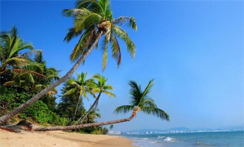 朝天门防空洞串串香