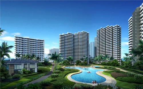 美颜素猪肚鸡汤