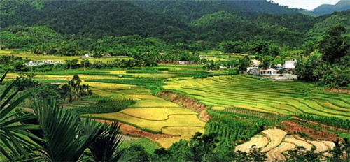 中国十大高压锅品牌