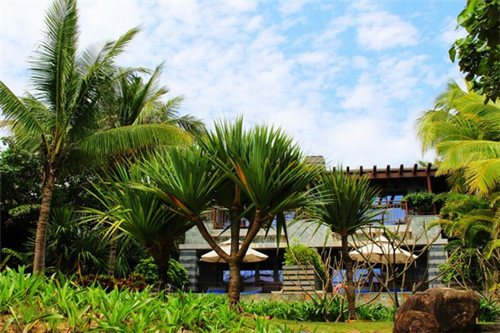 超级鸡排加盟在德宏要求多吗，德宏生意好的炸鸡加盟店都有哪些