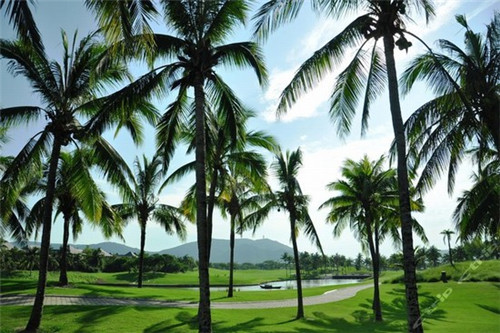 加盟鸡老大香鸡排收益怎么样，加盟鸡老大香鸡排开店多久回本