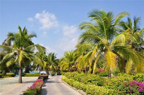 辽阳餐饮设计公司多久能回本，餐饮专业设计公司