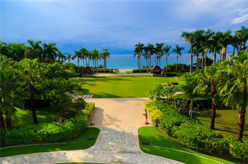 商用奶茶店养生茶是什么，商用做奶茶用什么奶粉好