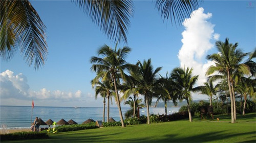 谷稻骨香酱骨饭加盟需要具备什么条件