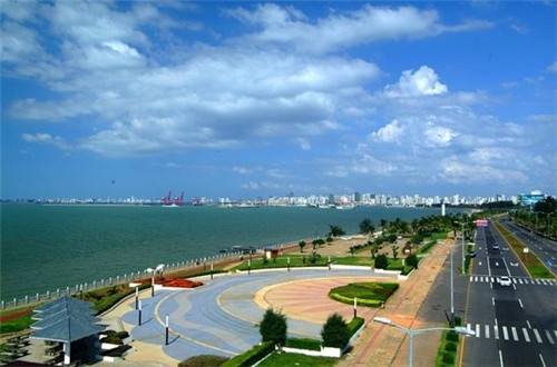 华为xt手机壳排行榜（华为手机壳排名）