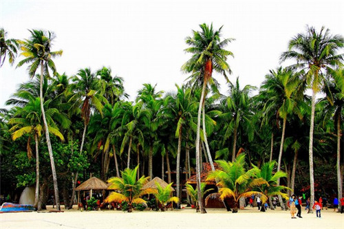 1957年严绍唐绘画的刺庆忌联环画（严绍唐连环画作品）