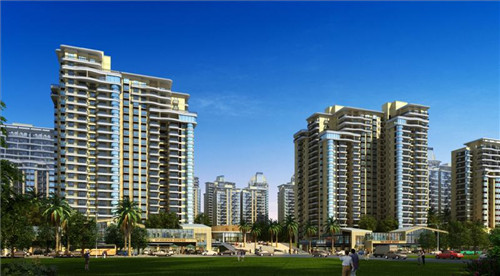 飘香鸡的6种正确做法（飘香鸡是哪里的）