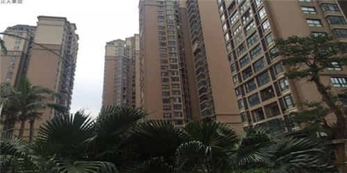 奔雷圣卫端游配什么宠物（奔雷圣卫搭配什么宠物）