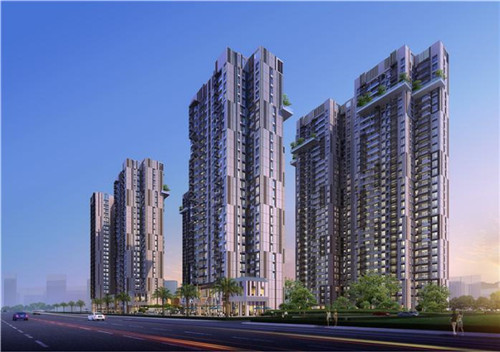 杭州薇知合品牌管理有限公司（重庆市薇知爱文化传播有限公司）